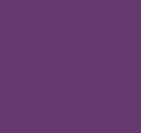 VINIL ADHESIVO MATE PSV STARLING VIOLET 12"