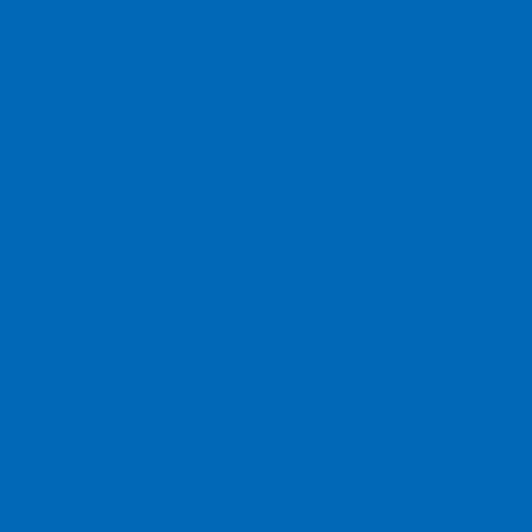 VINIL ADHESIVO #52 DE 24" X 50YDS AZUL AZURE