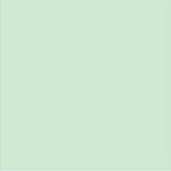 VINIL SISER TERMOTRANSFERIBLE EASYWEED STRETCH 15"*1' MENTA DULCE