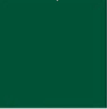 VINIL ADHESIVO 24" CODIGO #613 VERDE BOSQUE