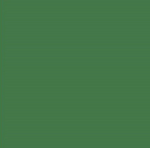 VINIL EVOLUTION VERDE CLARO 2062 MATE DE 24"