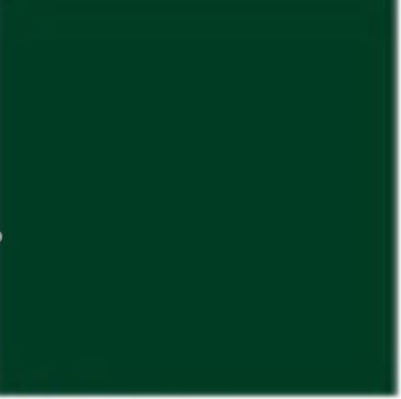 VINIL #60 VERDE OSCURO 24X50 ORACAL BRILLANTE DE 24"